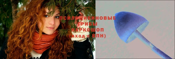 стаф Киренск