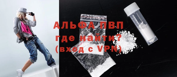 стаф Киренск