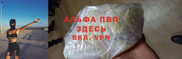 стаф Киренск