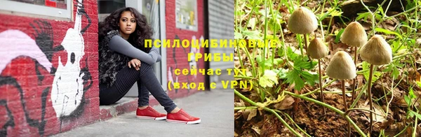 стаф Киренск