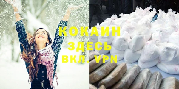 стаф Киренск