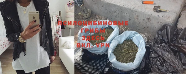 стаф Киренск
