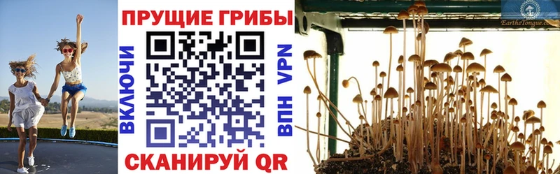 Псилоцибиновые грибы мухоморы  Купить  Екатеринбург 